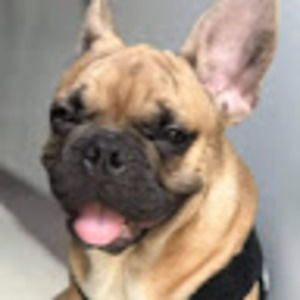 Meet your Posher, Mac